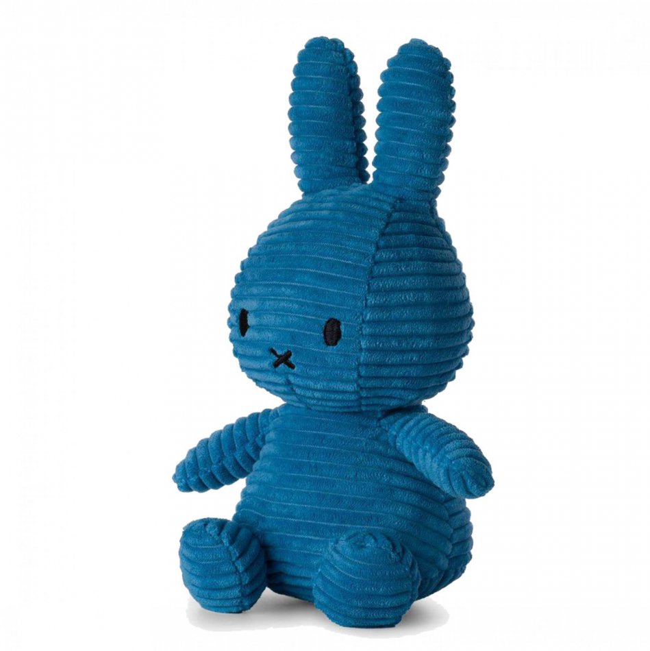 Its a boy - Ballon & Nijntje