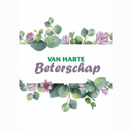 Beterschap Van Harte beterschap - groene bloemen